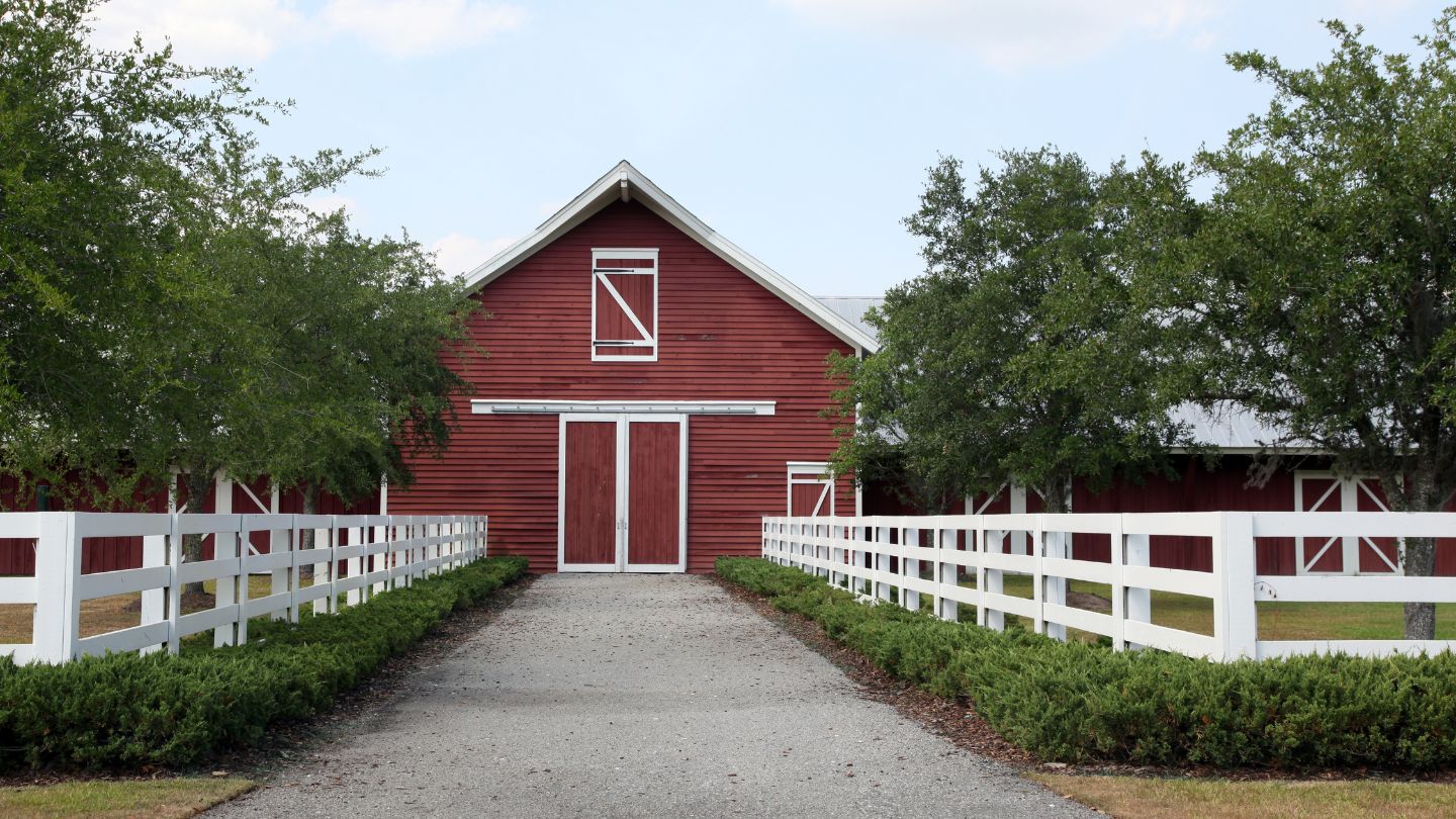 What to Consider When Building a Horse Barn