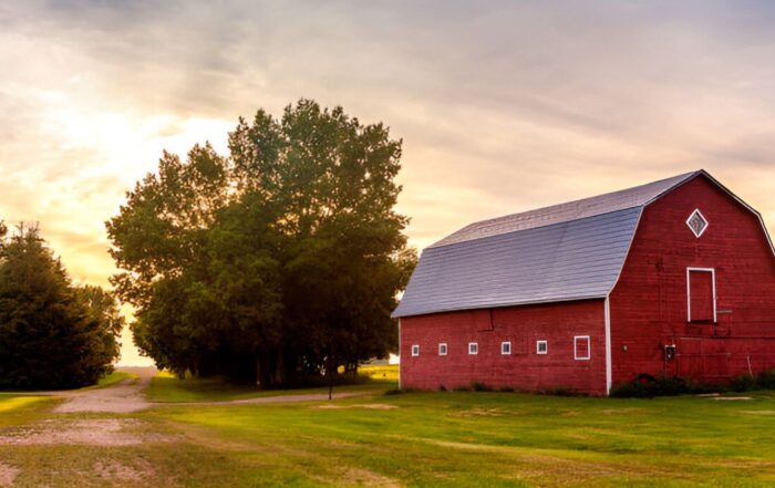 Top Picks for the Most Popular Barn Types