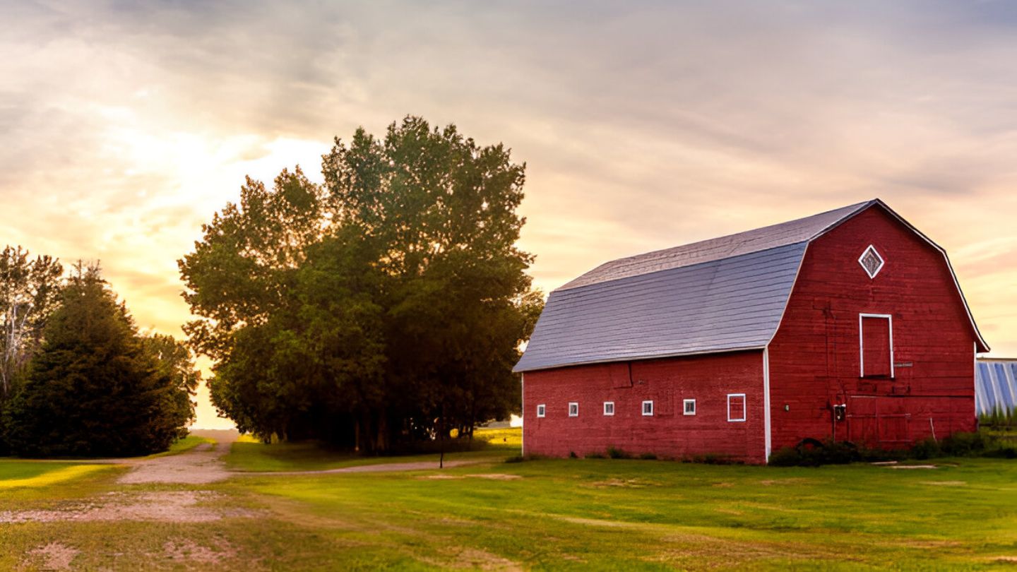 Top Picks for the Most Popular Barn Types